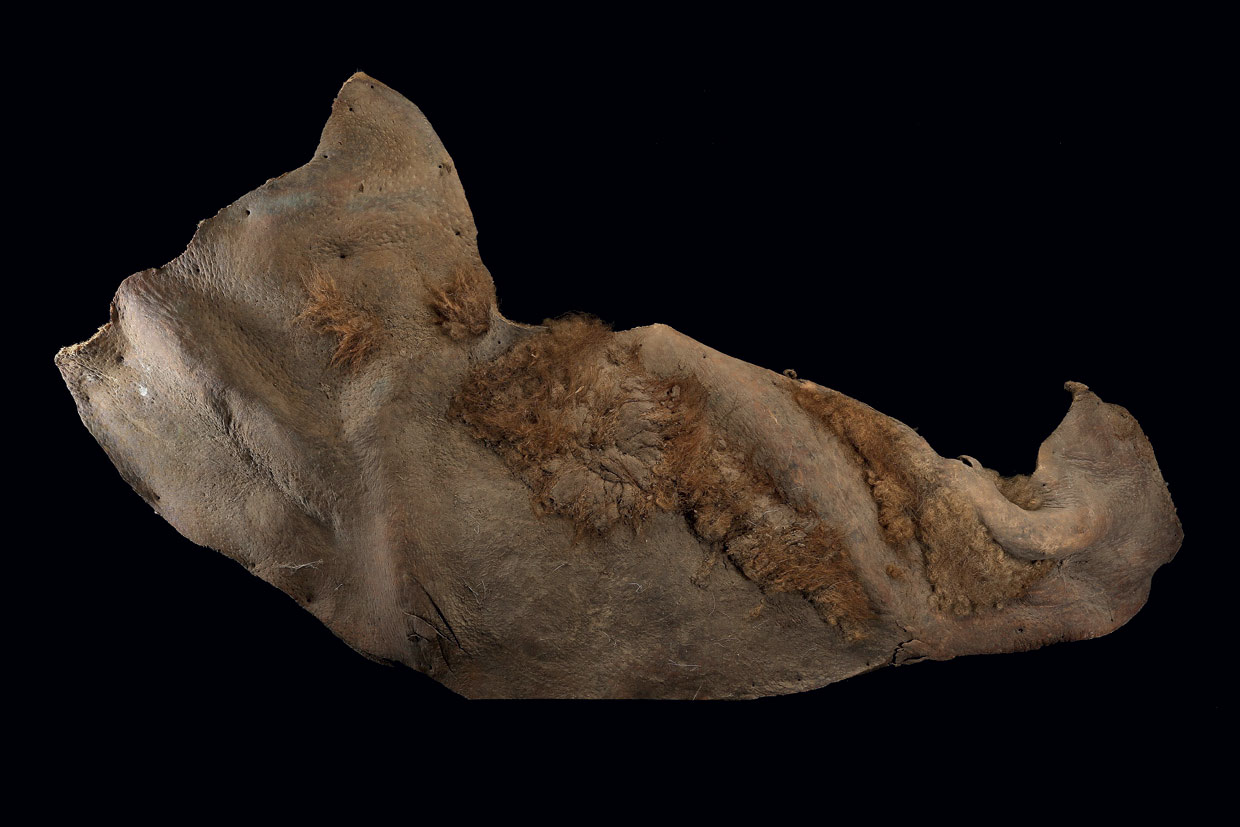 Woolly Mammoth Skin